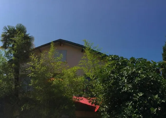 La Bulle Dans Le Palmier Hotel Toulouse